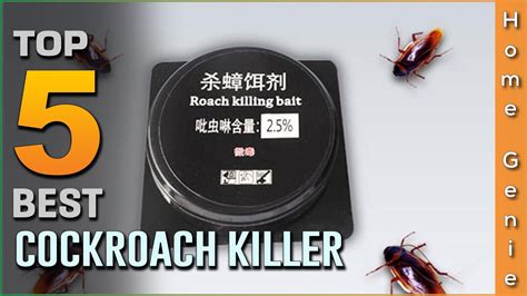 Best Cockroach Killers Buying Guide Top 5 Review 2023 YouTube