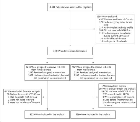 Effect Of Donor Sex On Recipient Mortality In Transfusion Nejm