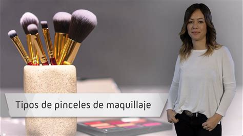 ¿para Qué Sirve Cada Brocha De Maquillaje 💄 Tipos De Pinceles 【 2023 】 Mr Trucos