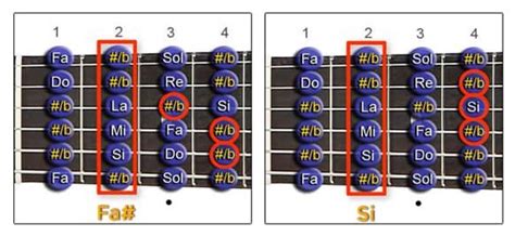 C Mo Usar El Capo De La Guitarra Cejilla O Capotraste Tipos