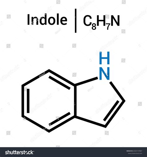 Chemical Structure Indole C8h7n Stock Vector Royalty Free 2020197887