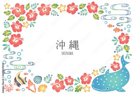 stock vector adobe stock