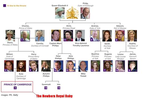 Msalya-myfamily: LINE OF ROYAL SUCCESSION BRITISH THRONE