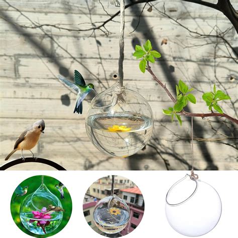 Humming Glass Feeder Outdoors Bird Feeder Hummingbird For Germination