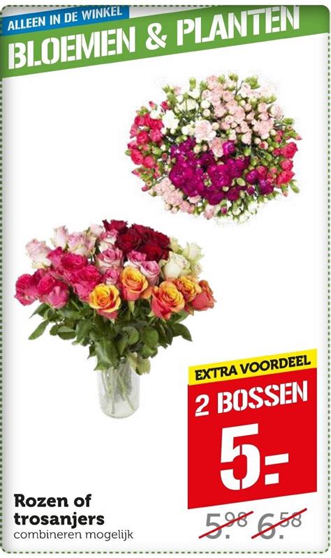 Rozen Of Trosanjers Aanbieding Bij Coop