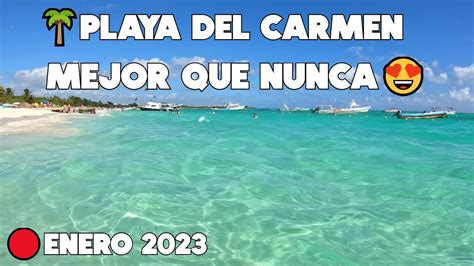 PLAYA DEL CARMENEN EL MEJOR MOMENTO UNA PLAYA INCREIBLE SIN SARGAZO