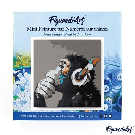 Mini Peinture par Numéro Figured Art 20x20cm avec cadre Singe casque