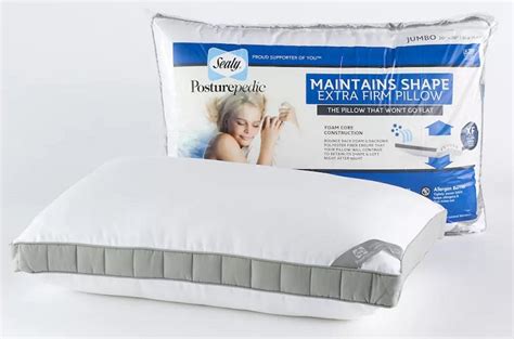 $10.49 (Reg $30) Sealy Posturepedic Pillows + FREE Shipping