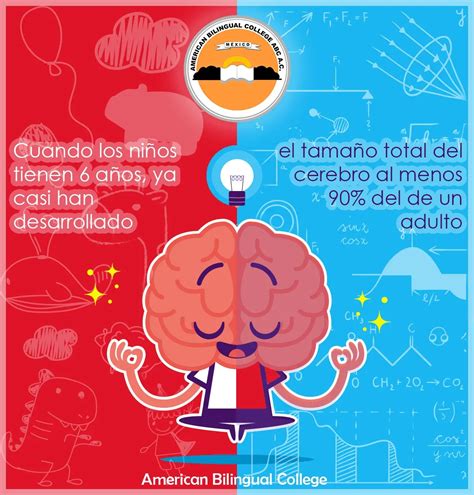 Estimulaci N Cerebral Para Desarrollar La Inteligencia Iccsi