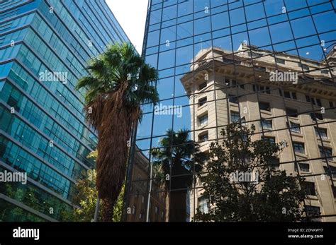 Antiguo Edificio Histórico Y Palmeras Reflejadas En La Oficina De