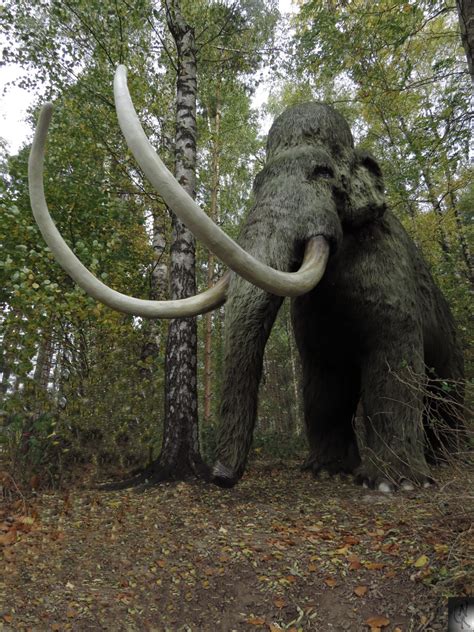 Mammut Foto & Bild | tiere, wildlife, wildlife: sonstige tiere Bilder ...