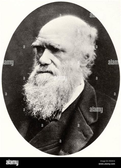 Charles Darwin Portrait Hi Res Stock Photography And Images Alamy