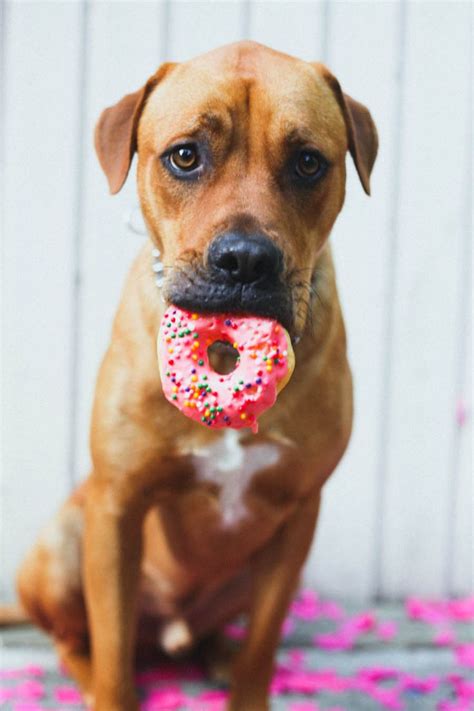 128 Best Images About Another Day Another Donut On Pinterest Yummy