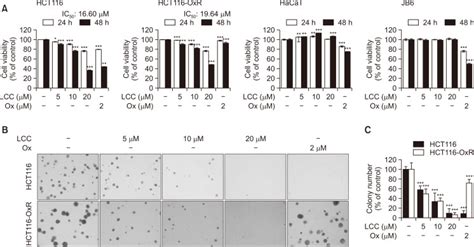 Crc Cell Lines Hct116 ATCC Bioz