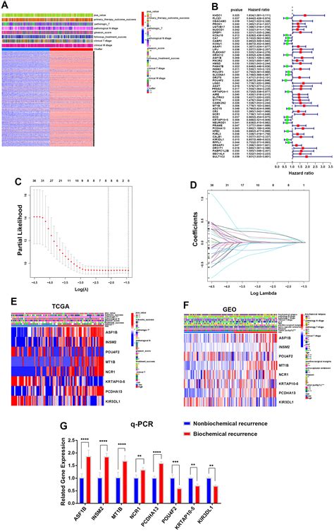 Comprehensive Analysis Of Integrin V In Prognosis And Immune