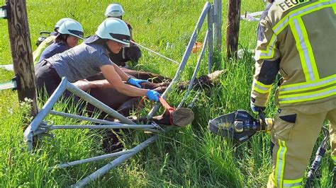 Feuerwehr in NRW befreit mit schwerem Gerät eingeklemmtes Pferd