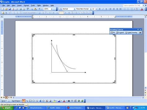 Graphs In Ms Word