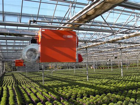 Heating system in greenhouse: the advantages of combiTERM - Termotecnica Pericoli