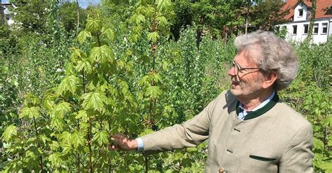 Paderborner Umweltverbände üben Kritik an Plänen für Geißelschen Garten