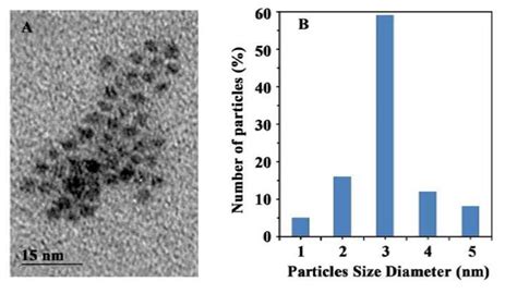 Tem Image And Dls Analysis Of The Prepared Tga Capped Cdte Qds