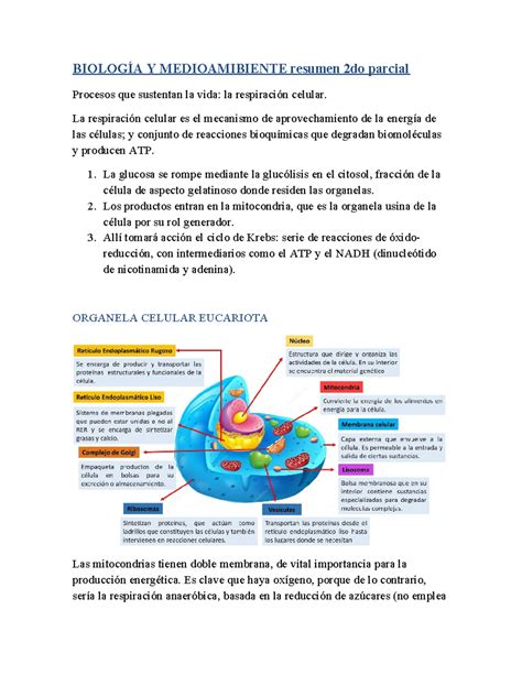 Biología Y Medioamibiente resumen 2do parcial BIOLOGÍA Y