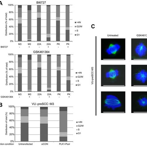 Plk Inhibition Induces A G M Arrest In Pre Cancerous Cells Together