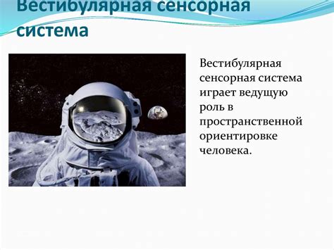 Эмбриогенез вестибулярной сенсорной системы - презентация онлайн