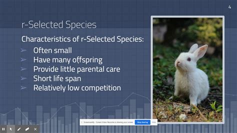 K Selected R Selected Species Youtube