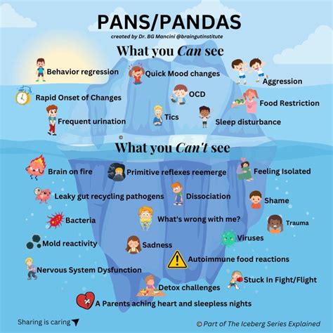 Pans Pandas Awareness Day Learning Without Borders