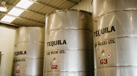 How Is Tequila Made 7 Step Guide European Bartender School