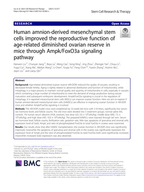 Pdf Human Amnion Derived Mesenchymal Stem Cells Improved The