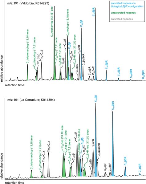 Mass Fragmentograms Of M Z Showing The Distribution Of Saturated