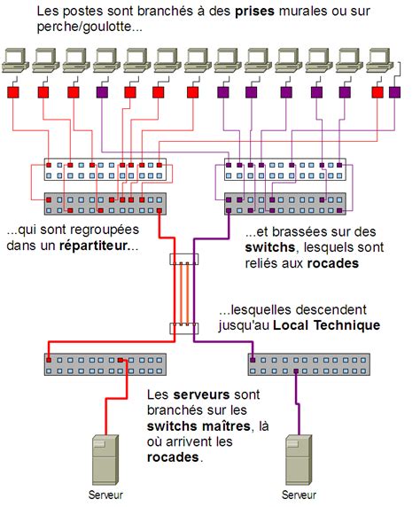 Schema De Cablage Informatique