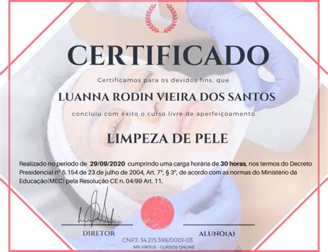 Curso Online Limpeza De Pele Aprenda Tudo Sobre Skin Care E Se