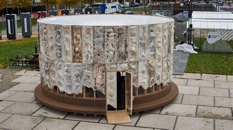 The Growing Pavilion Is A Mycelium Pop Up Performance Space