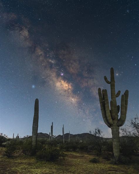 Starry Desert Nights – SOLD OUT | The Holland Center