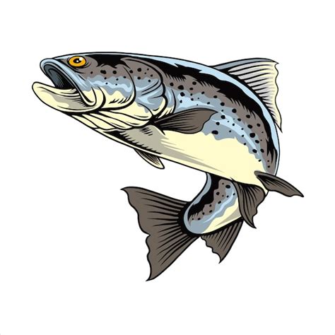 Premium Vector Vector Illustration Of Steelhead Trout Fish With