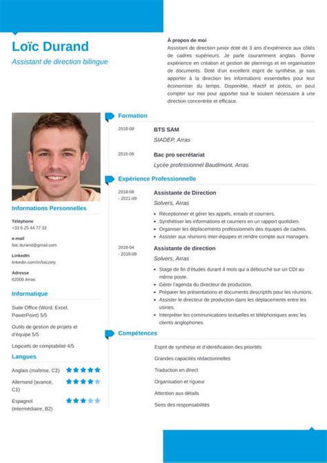 Exemple De Titre De Cv