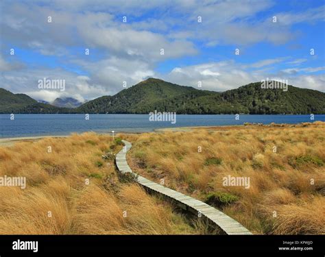 Landscape in the Fjordland National Park Stock Photo - Alamy