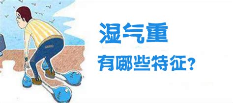 湿气是什么？湿气重有哪些特征 知乎