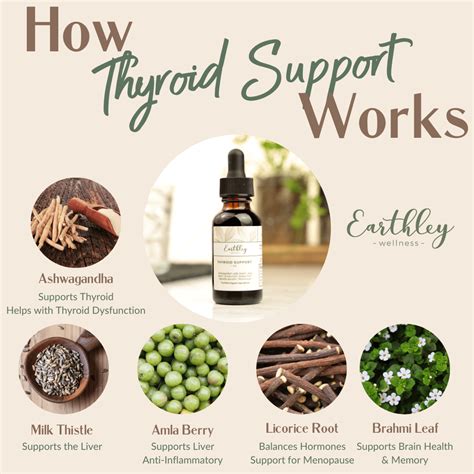 Thyroid Support – For a Healthy, Balanced Thyroid | Earthley Wellness