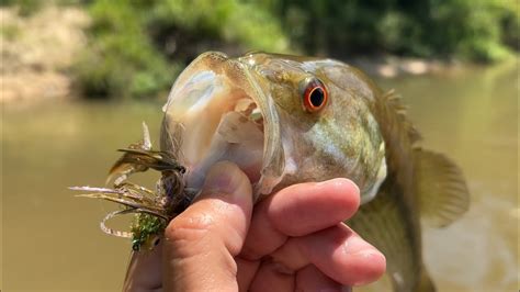 Fly Tying Step By Step Circus Peanut Articulated Streamer Youtube