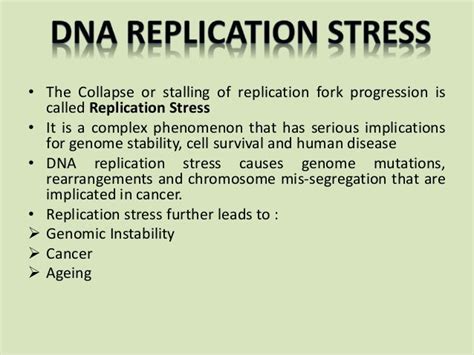 Dna Replication Stress