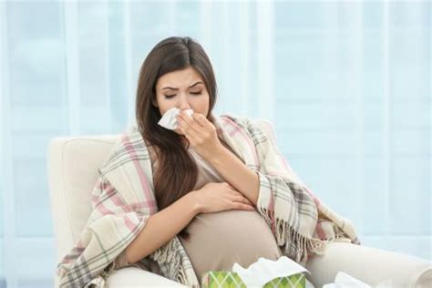 Deal With Dengue During Pregnancy Ways To Manage Dengue Cloudnine Blog