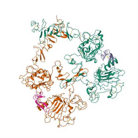 RCSB PDB 7SZ1 Cryo EM Structure Of The Extracellular Module Of The