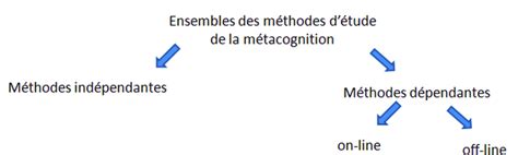 Organisation Des Méthodes Détude De La Métacognition En Fonction De La