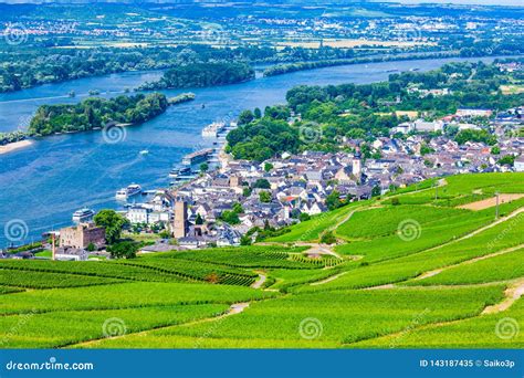 Rudesheim am Rhein Vineyards, Germany Stock Image - Image of river ...