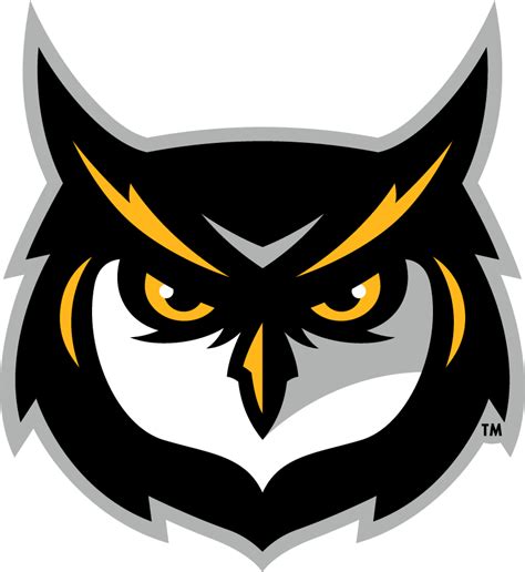 Kennesaw State Owls Logo - Secondary Logo - NCAA Division I (i-m) (NCAA ...