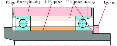 Schematic Of Spindle Structure Download Scientific Diagram