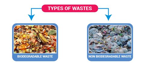 5 Types Of Waste